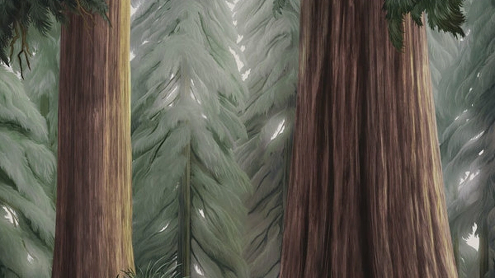 Carta da parati La Forêt Éternelle di London Art