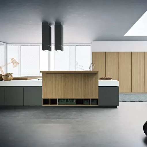 Cucina Moderna Area 22 30° con isola in laccato opaco e essenza Rovere di Dibiesse