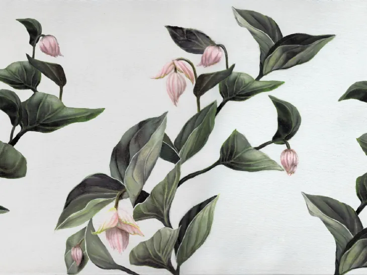 Carta da parati Medinilla di Inkiostro Bianco