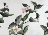 Carta da parati Medinilla di Inkiostro Bianco