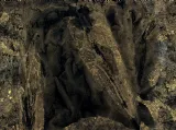 Carta da parati Sahel di Inkiostro Bianco