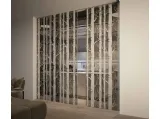 Porta per interni Space scorrevole decoro vetro Nordic di Foa