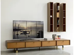 Bayus TV