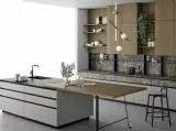 Cucina Moderna a isola in rovere e vetro laccato Aspen 004 di Doimo Cucine