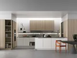 Cucina Moderna in laccato e legno Style 05 di Doimo Cucine